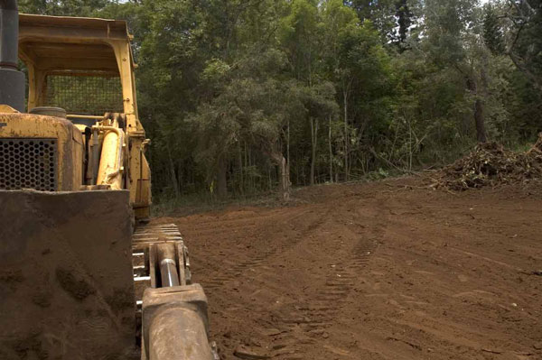 Clearing Your Land for a Pool